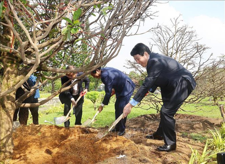 Chủ tịch nước Lương Cường thăm, chúc Tết tại Quân khu 9- Ảnh 7.