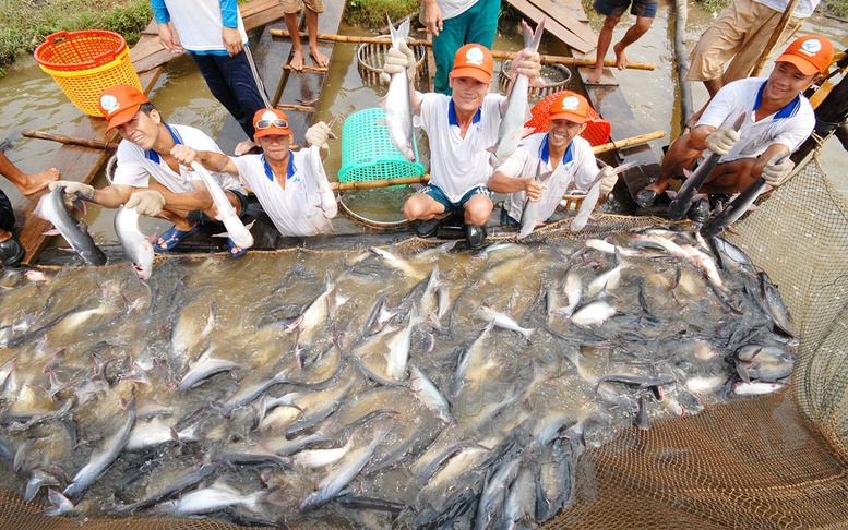 Việt Nam và Hoa Kỳ đạt thỏa thuận trong giải quyết tranh chấp về thuế chống bán phá giá cá tra, basa