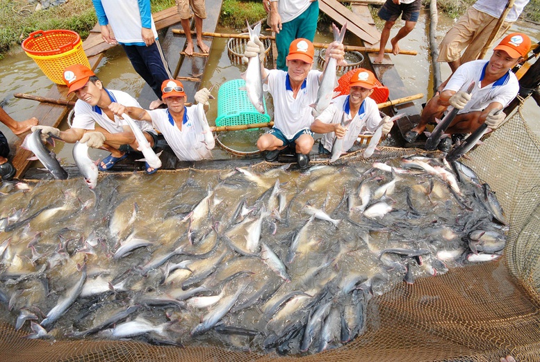 Việt Nam và Hoa Kỳ đạt thỏa thuận trong giải quyết tranh chấp về thuế chống bán phá giá cá tra, basa
- Ảnh 2.