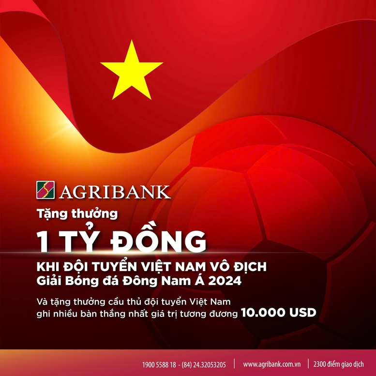 Agribank sẽ trao thưởng 1 tỷ đồng khi tuyển Việt Nam vô địch AFF CUP 2024- Ảnh 1.