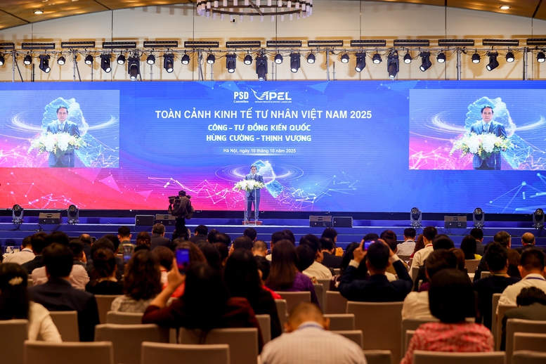Thủ tướng: Doanh nghiệp, doanh nhân tư nhân '3 tiên phong' để 'công-tư đồng kiến quốc'- Ảnh 3.