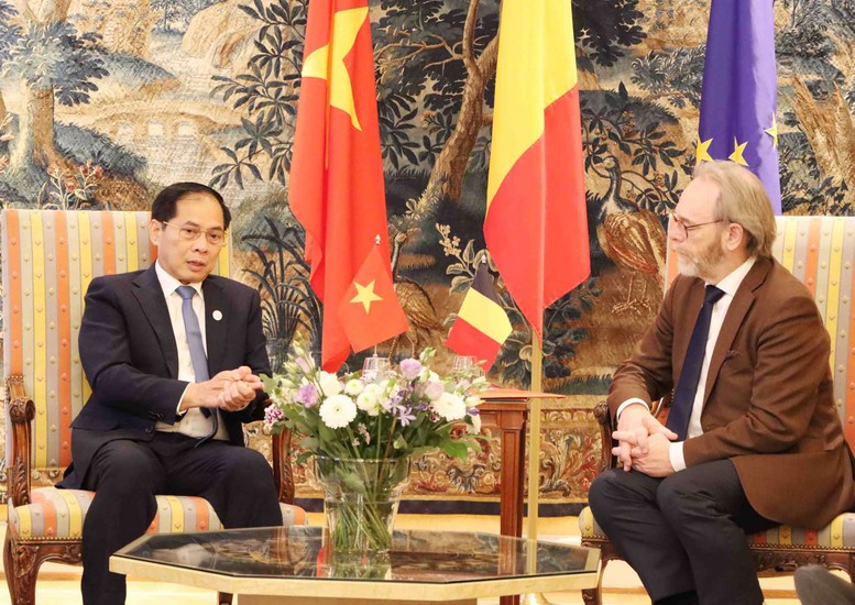 Việt Nam đề nghị Bỉ phê chuẩn EVIPA trong năm 2025- Ảnh 1. Việt Nam đề nghị Bỉ phê chuẩn EVIPA trong năm 2025- Ảnh 1.