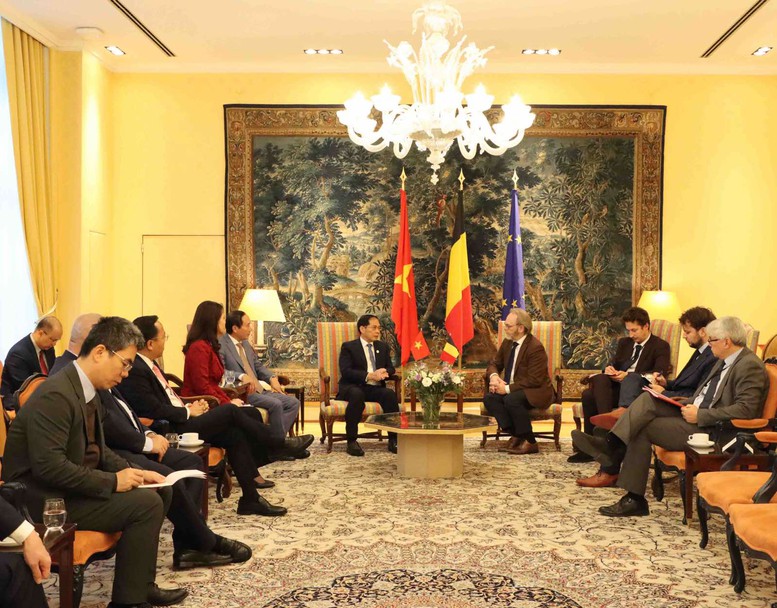 Việt Nam đề nghị Bỉ phê chuẩn EVIPA trong năm 2025- Ảnh 2. Việt Nam đề nghị Bỉ phê chuẩn EVIPA trong năm 2025- Ảnh 2.