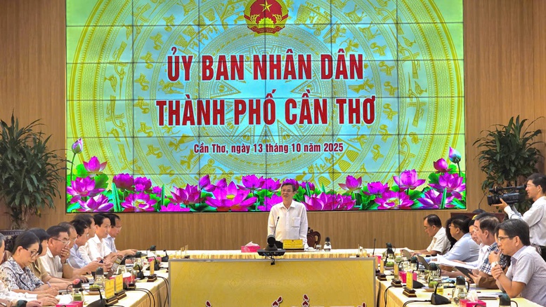 Cần Thơ: Sớm kiện toàn tổ chức bộ máy, nhân sự các Hiệp hội doanh nghiệp- Ảnh 1.