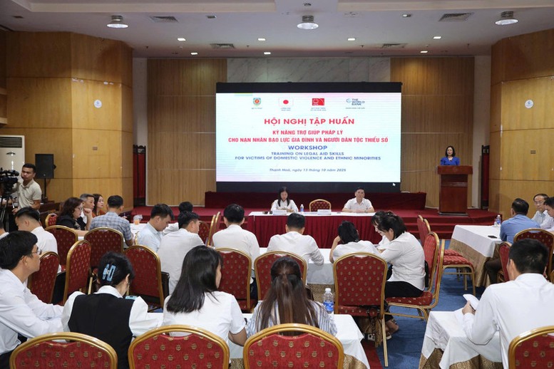 Kỹ năng trợ giúp pháp lý cho nạn nhân bạo lực gia đình và người dân tộc thiểu số- Ảnh 1.
