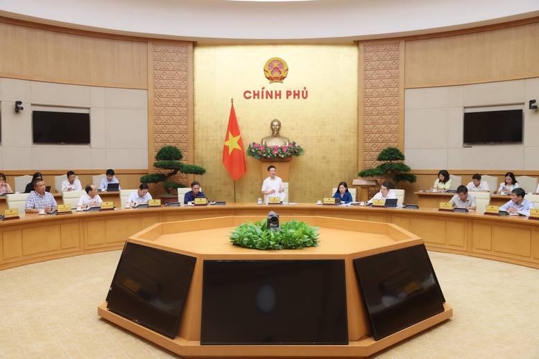 Phó Thủ tướng Hồ Đức Phớc: Cổ phần hóa là để doanh nghiệp mạnh lên chứ không phải bán đất- Ảnh 3.