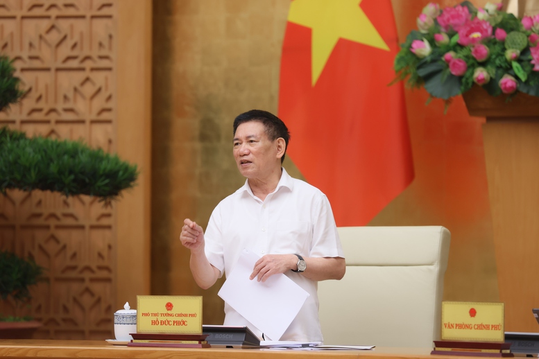 Phó Thủ tướng Hồ Đức Phớc: Cổ phần hóa là để doanh nghiệp mạnh lên chứ không phải bán đất- Ảnh 4.