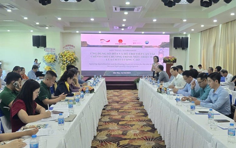 Tín dụng, dữ liệu và bảo hiểm: Ba trụ cột cho Đề án 1 triệu hecta lúa