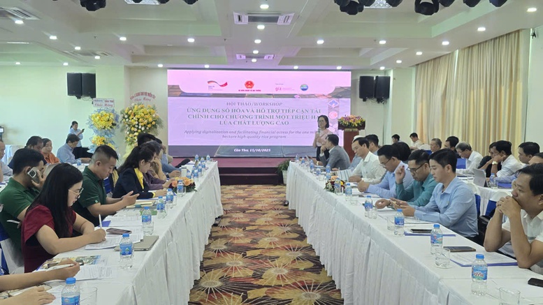 Tín dụng, dữ liệu và bảo hiểm: Ba trụ cột cho Đề án 1 triệu hecta lúa- Ảnh 1. Tín dụng, dữ liệu và bảo hiểm: Ba trụ cột cho Đề án 1 triệu hecta lúa- Ảnh 1.