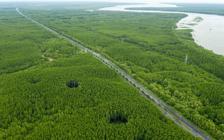 Thêm chính sách để 'rộng đường' cho 'xanh hóa' công trình, giao thông