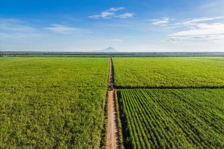 'Nữ tướng' nông nghiệp hiện đại: Phụ nữ không cần chứng minh bản lĩnh vì họ đang thể hiện nó mỗi ngày- Ảnh 2.