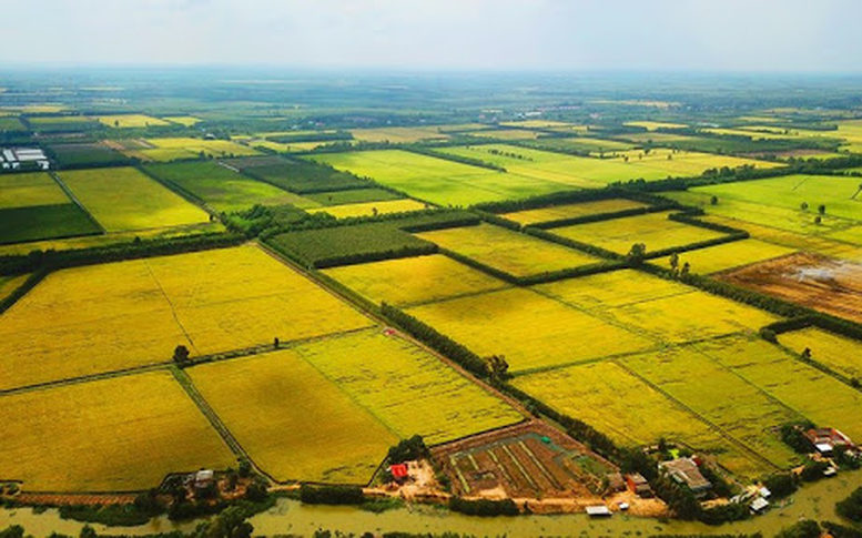 Chính phủ thông qua nội dung dự thảo về một số cơ chế, chính sách tháo gỡ khó khăn, vướng mắc trong thi hành Luật Đất đai