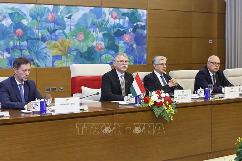 Chủ tịch Quốc hội Trần Thanh Mẫn hội đàm với Chủ tịch Quốc hội Hungary- Ảnh 2.