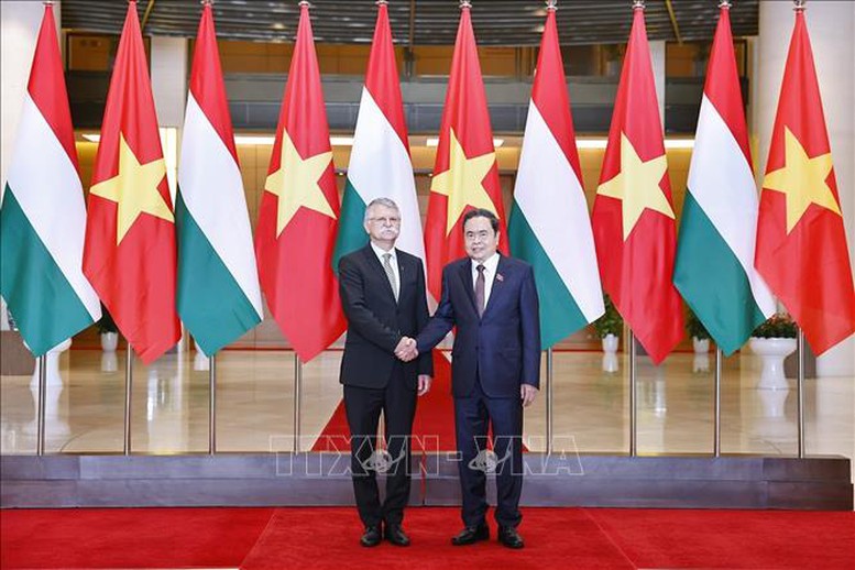 Chủ tịch Quốc hội Trần Thanh Mẫn hội đàm với Chủ tịch Quốc hội Hungary- Ảnh 1.