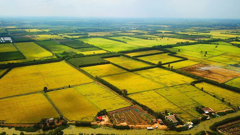Chỉ đạo, điều hành của Chính phủ, Thủ tướng Chính phủ ngày 20/10/2025- Ảnh 3.