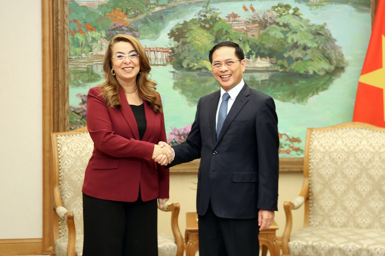 Việt Nam tăng cường hợp tác với UNODC trong phòng, chống tội phạm- Ảnh 1.