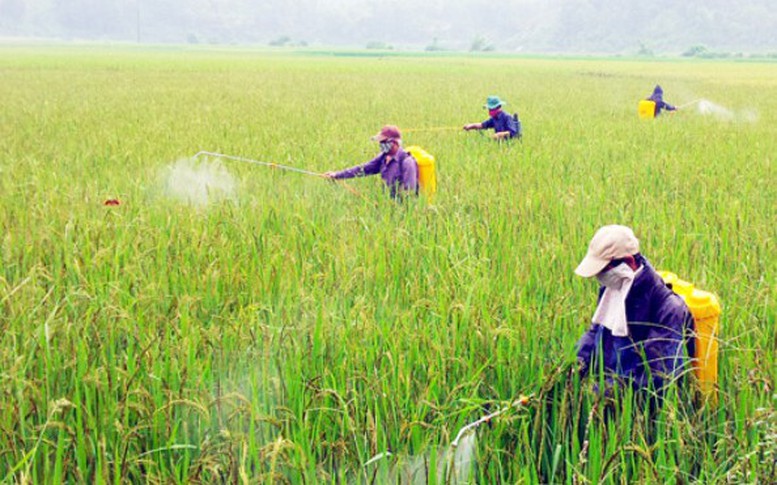 Đề xuất Danh mục thuốc bảo vệ thực vật được phép sử dụng, cấm sử dụng tại Việt Nam