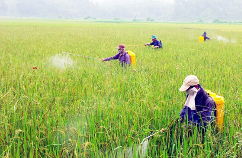 Đề xuất Danh mục thuốc bảo vệ thực vật được phép sử dụng, cấm sử dụng tại Việt Nam- Ảnh 1.