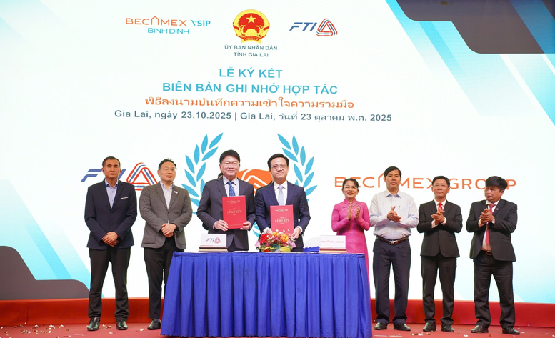 DN Thái Lan thúc đẩy thương mại và đầu tư tại Gia Lai- Ảnh 1.
