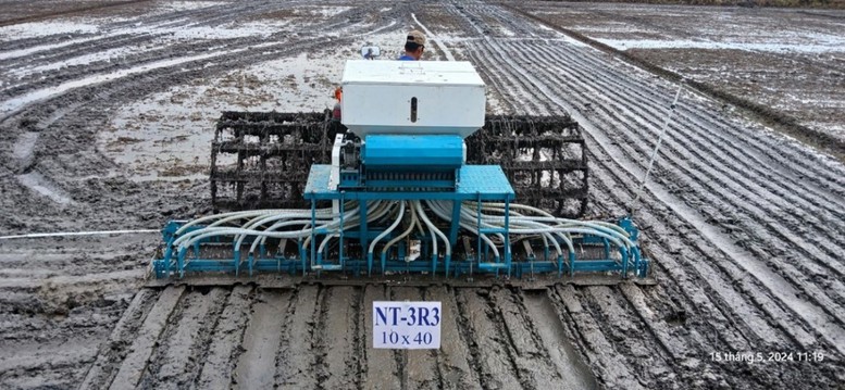 Công nghệ số mở đường cho canh tác lúa bền vững tại Đồng bằng sông Cửu Long- Ảnh 2.