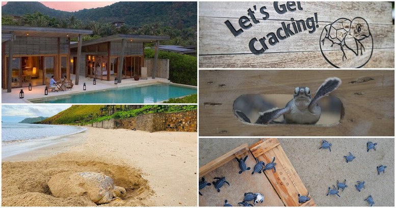 Six Senses Côn Đảo giành Giải thưởng Khách sạn bền vững HICAP 2025- Ảnh 1.