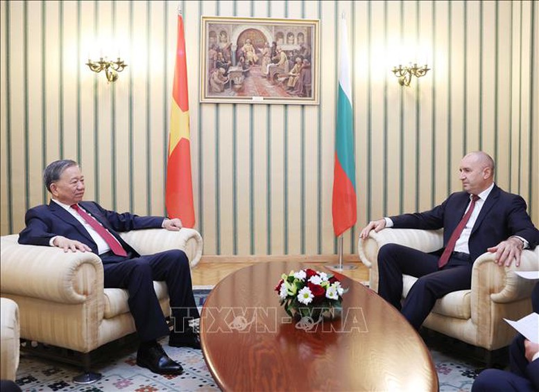 Tổng Bí thư Tô Lâm hội đàm với Tổng thống Bulgaria Rumen Radev- Ảnh 3.