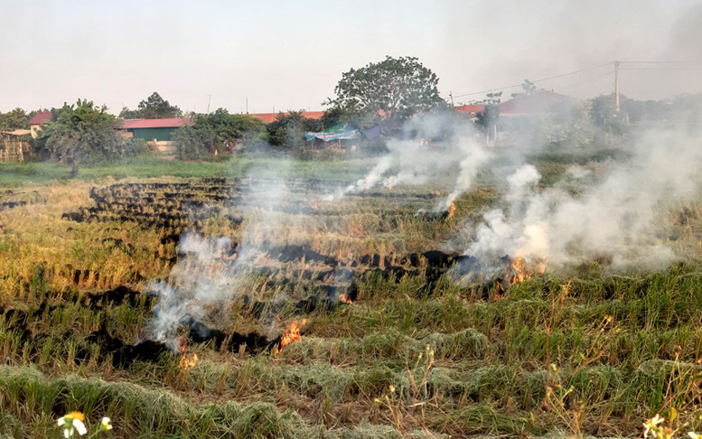 Xử lý hoạt động đốt phế phụ phẩm nông nghiệp ngoài trời gây ô nhiễm không khí