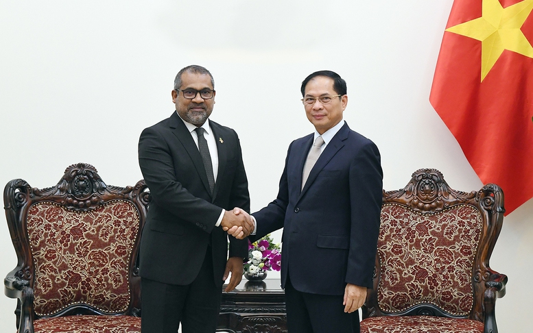 Phó Thủ tướng Bùi Thanh Sơn tiếp Bộ trưởng Ngoại giao Maldives
