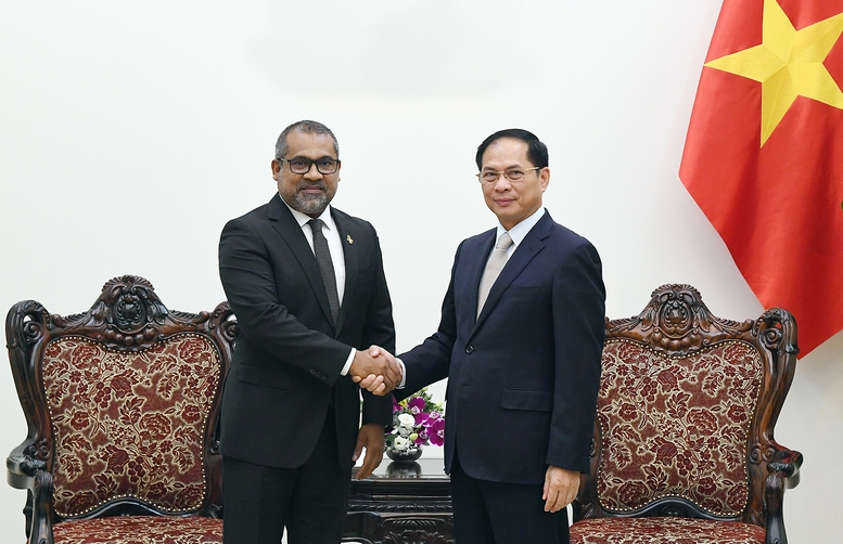 Phó Thủ tướng Bùi Thanh Sơn tiếp Bộ trưởng Ngoại giao Maldives- Ảnh 1.