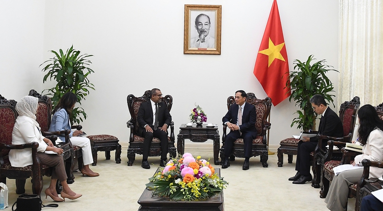 Phó Thủ tướng Bùi Thanh Sơn tiếp Bộ trưởng Ngoại giao Maldives- Ảnh 3.