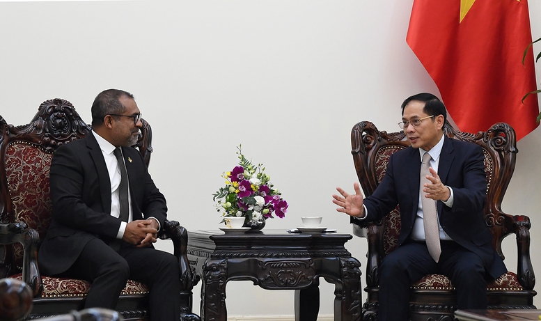 Phó Thủ tướng Bùi Thanh Sơn tiếp Bộ trưởng Ngoại giao Maldives- Ảnh 2.