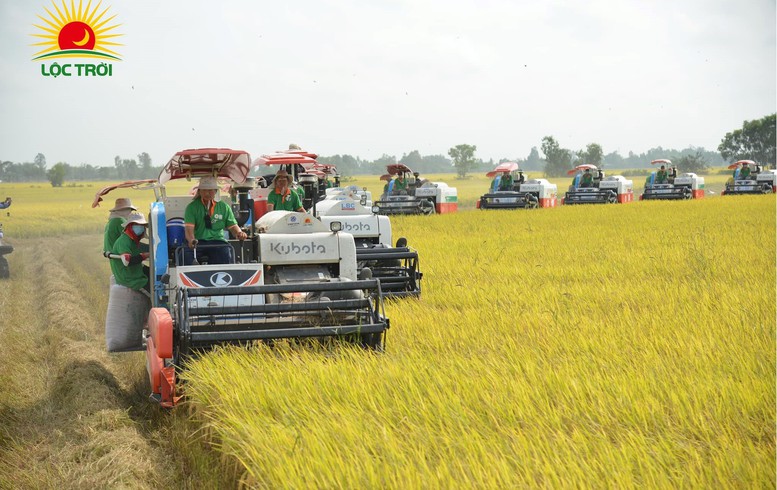 Lộc Trời tăng tốc đổi mới, kiến tạo chuỗi giá trị nông nghiệp xanh từ Mini Expo 2025- Ảnh 1.