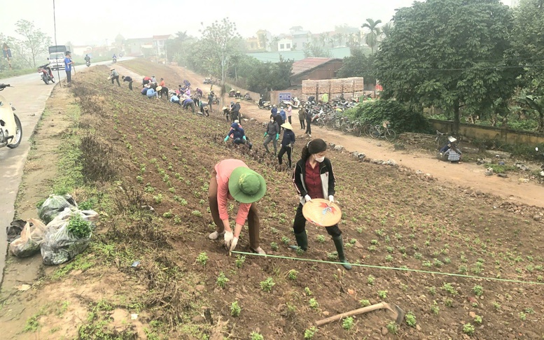 Nâng cao tiêu chí-Kiến tạo nông thôn thành miền quê đáng sống