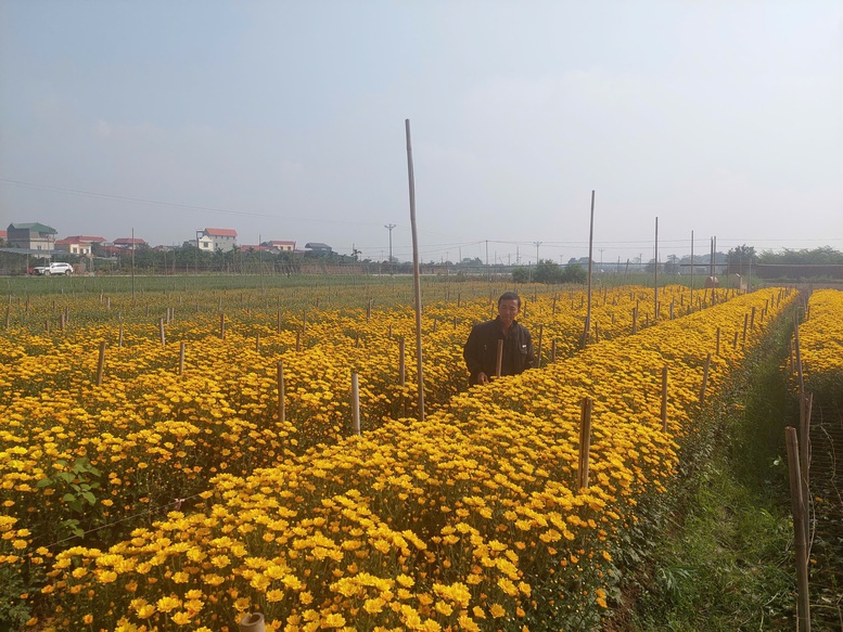Nâng cao tiêu chí-Kiến tạo nông thôn thành miền quê đáng sống- Ảnh 2. Nâng cao tiêu chí-Kiến tạo nông thôn thành miền quê đáng sống- Ảnh 2.