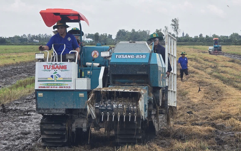 'Biến rơm rạ thành vàng': Nông dân Cần Thơ tiên phong ứng dụng công nghệ xử lý rơm bền vững