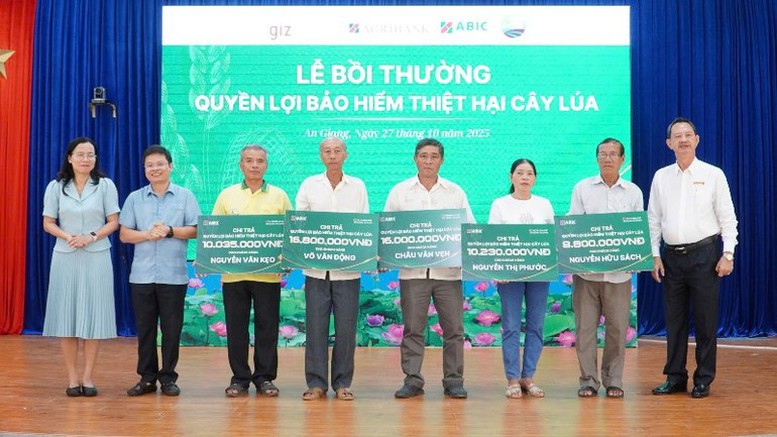 Bảo hiểm cây lúa: ‘Lá chắn’tài chính cho chuỗi sản xuất – tiêu thụ lúa gạo- Ảnh 1. Bảo hiểm cây lúa: ‘Lá chắn’tài chính cho chuỗi sản xuất – tiêu thụ lúa gạo- Ảnh 1.