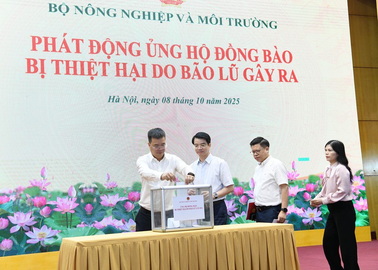 Thiệt hại nặng nề do mưa lũ sau bão số 11- Ảnh 2.