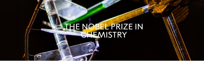 Những điều thú vị về Giải Nobel Hóa học- Ảnh 1.