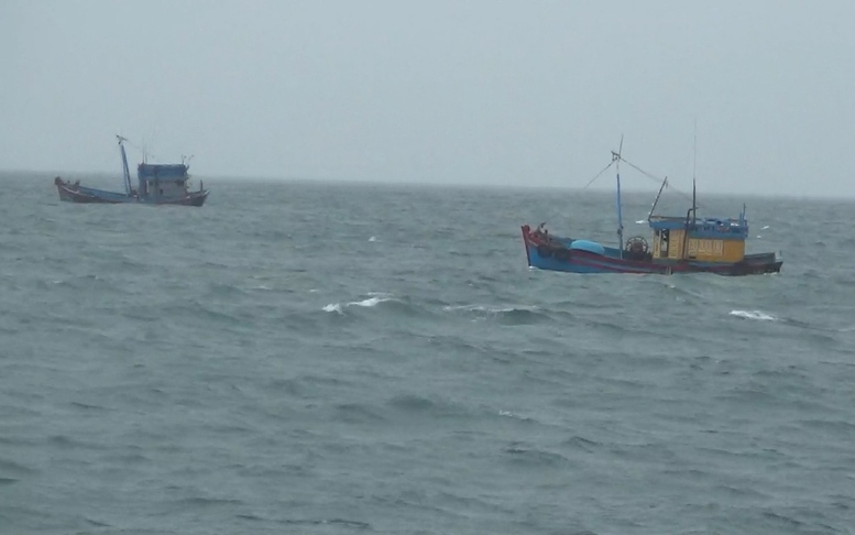 Vùng Cảnh sát biển 2 bắt giữ hai tàu cá vi phạm IUU