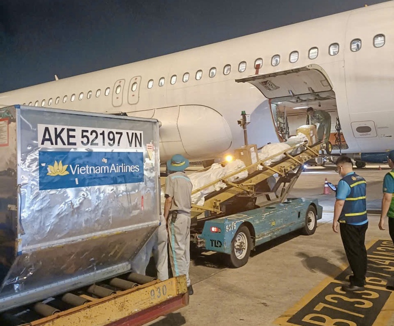 Gần 500kg hàng hóa hỗ trợ vùng lũ đã được Vietnam Airlines vận chuyển đến Huế- Ảnh 3.