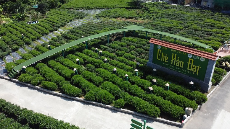 OCOP Thái Nguyên – Khẳng định vị thế trên bản đồ thương hiệu quốc gia- Ảnh 2.