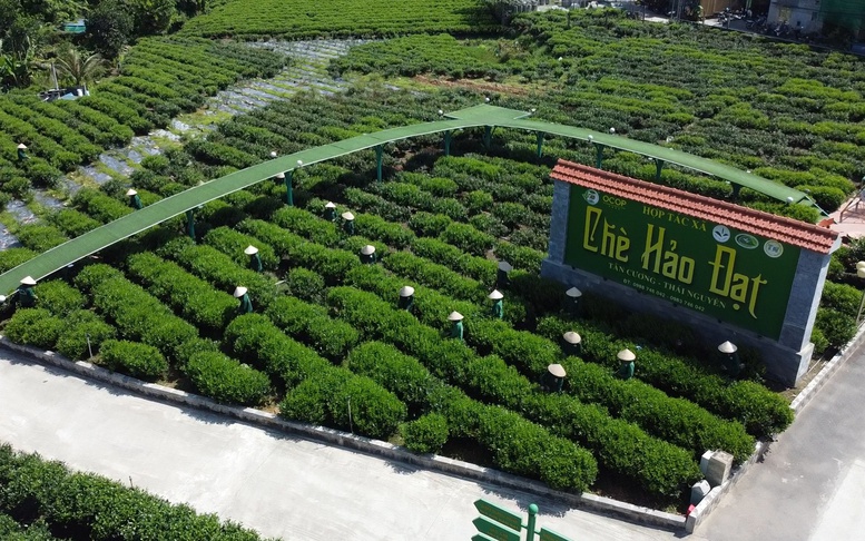 OCOP Thái Nguyên – Khẳng định vị thế trên bản đồ thương hiệu quốc gia