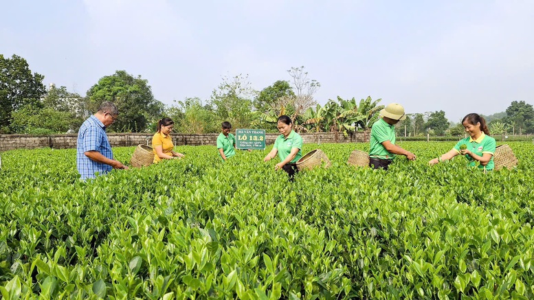 Sức vươn mình nơi vùng quê Phú Thịnh- Ảnh 2.