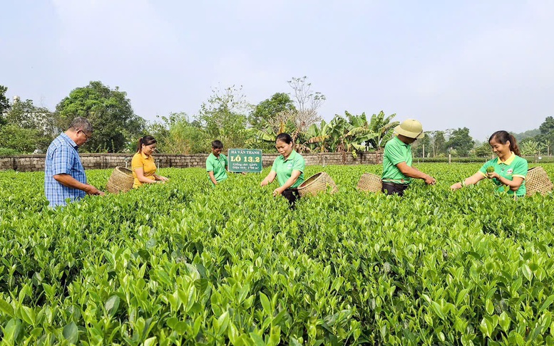 Sức vươn mình nơi vùng quê Phú Thịnh