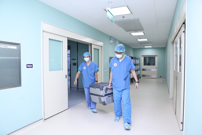 Chia gan từ người hiến chết não để ghép cho 2 ca bệnh hiểm nghèo- Ảnh 3.