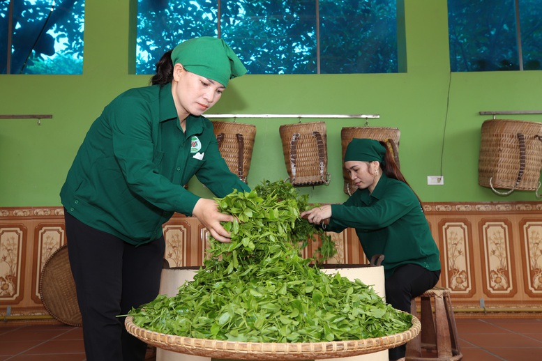 OCOP Thái Nguyên - Bứt phá từ giá trị bản địa- Ảnh 1.