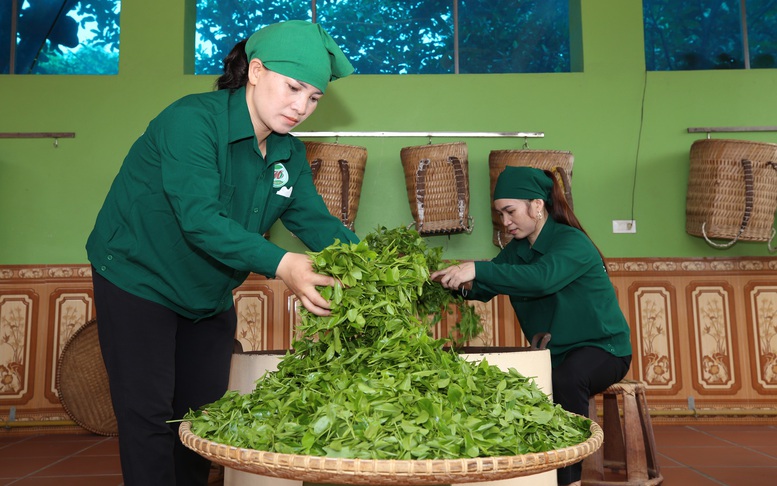 OCOP Thái Nguyên - Bứt phá từ giá trị bản địa