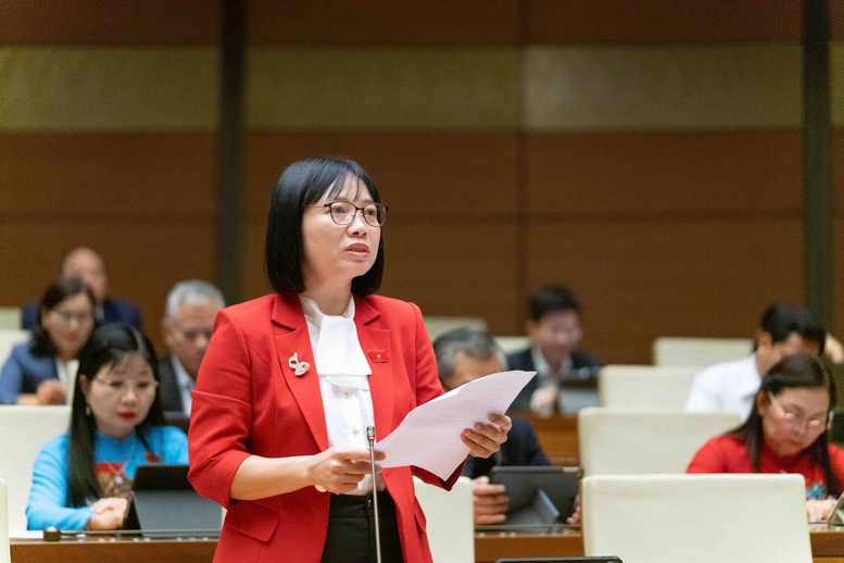 Đại biểu Quốc hội đề nghị làm rõ quyền viên chức tham gia doanh nghiệp- Ảnh 2.