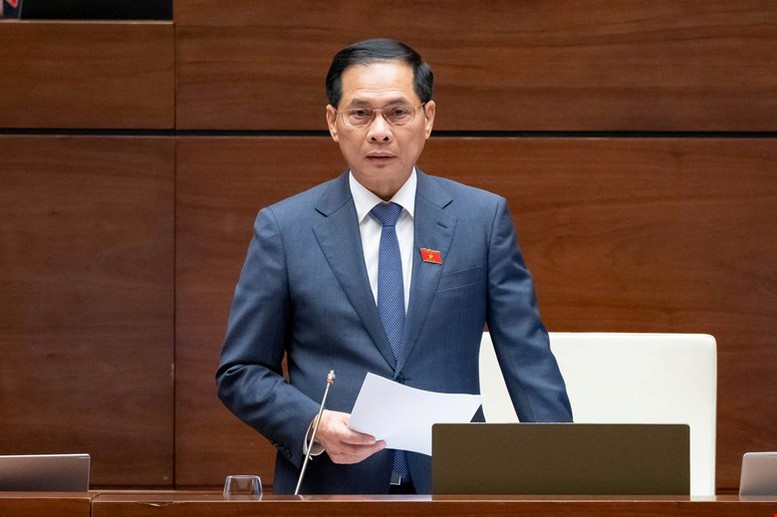 Phó Thủ tướng Bùi Thanh Sơn: Luật Thương mại điện tử phải vừa kiến tạo phát triển, vừa bảo vệ người tiêu dùng- Ảnh 1.