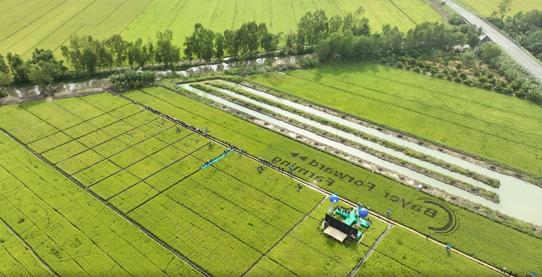 Ngành Trồng trọt bước vào giai đoạn phát triển xanh- Ảnh 1. Ngành Trồng trọt bước vào giai đoạn phát triển xanh- Ảnh 1.